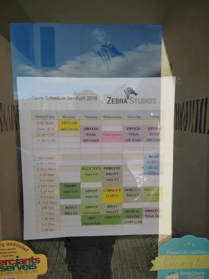 Zebra Studios — yoga-studio en Santa María del Camí, Palma — 2