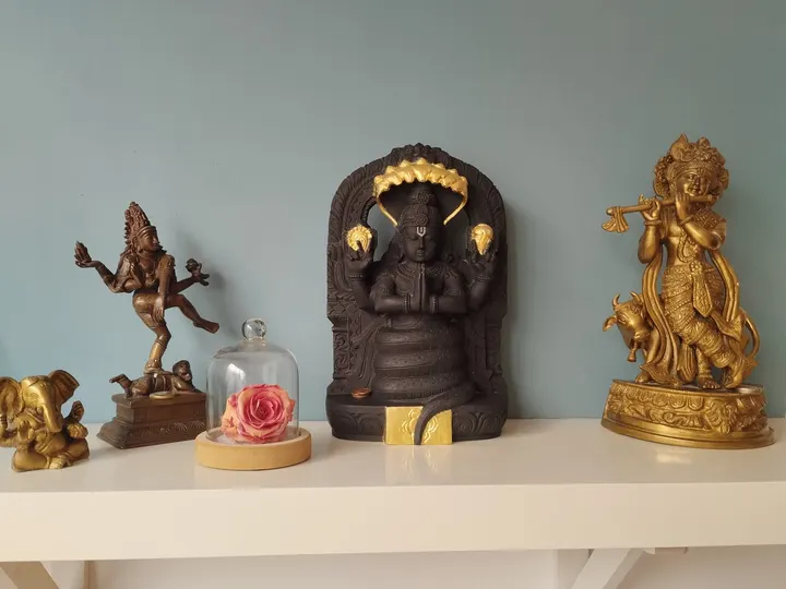 Centre de Yoga Iyengar des Arceaux — yoga-studio aux Arceaux, Montpellier — 2
