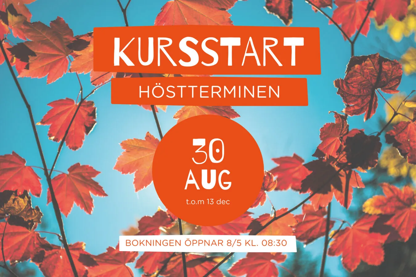 Mälarsalens danskurser — dans-studio i Södermalm, Stockholm — bild 2