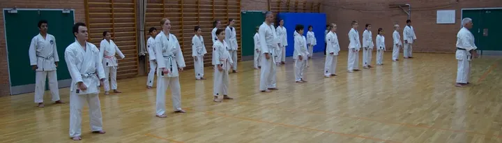 TST Karate Skole — Kampsport i Langkærparken, Aarhus