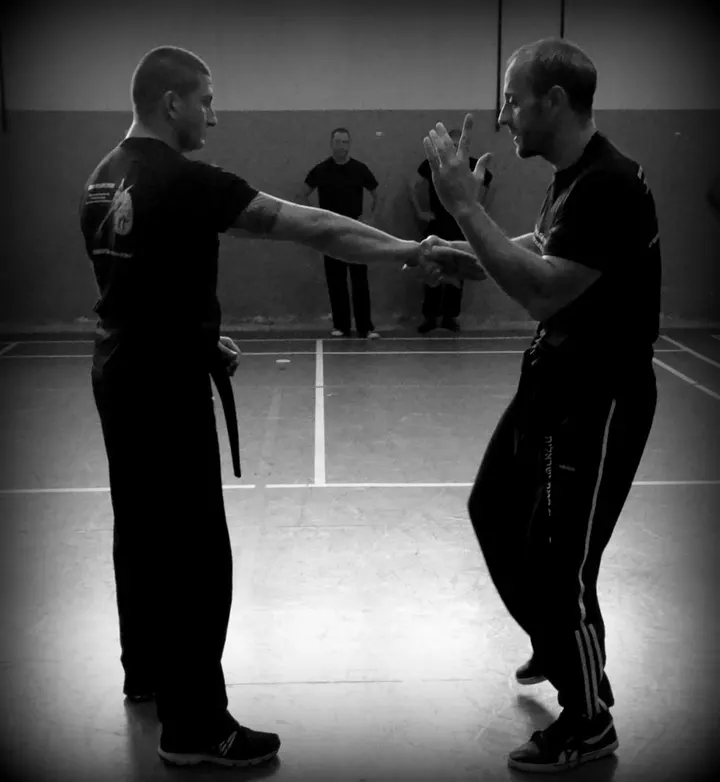 krav maga Self Défense Sud — Arts martiaux à Port Marianne, Montpellier