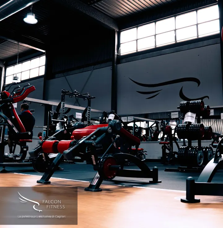 Falcon Fitness Palestra — palestre-studio a Fonsarda, Cagliari — 3