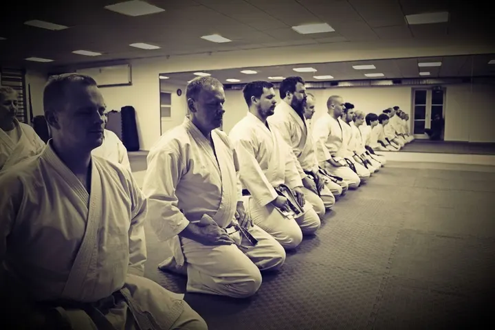 Ringsted Shotokan Do Kai Jka — kampsport-studio i Ringsted — 3