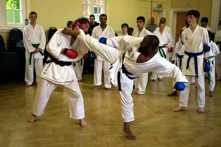 Surrey Karate — martial arts-studio in Wooteys, Alton — 2