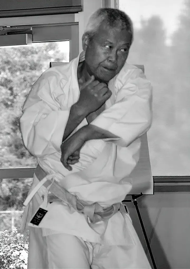 Surrey Karate — Martial Arts in Wooteys, Alton