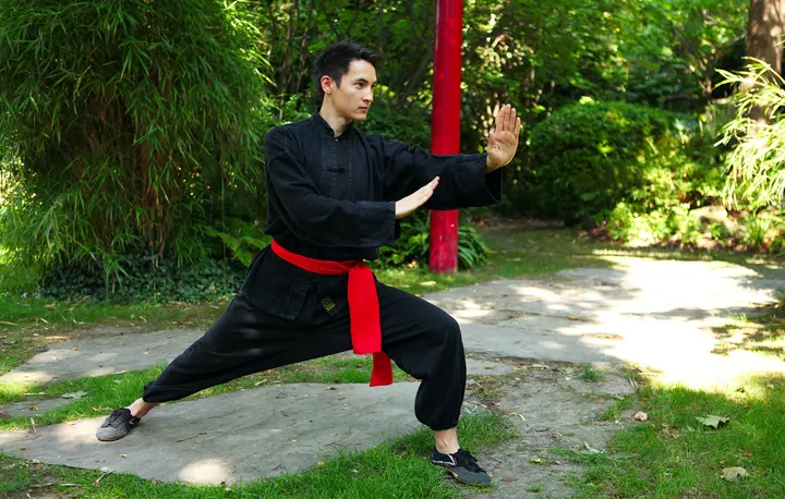 Wushujia — Arts martiaux à Argenteuil