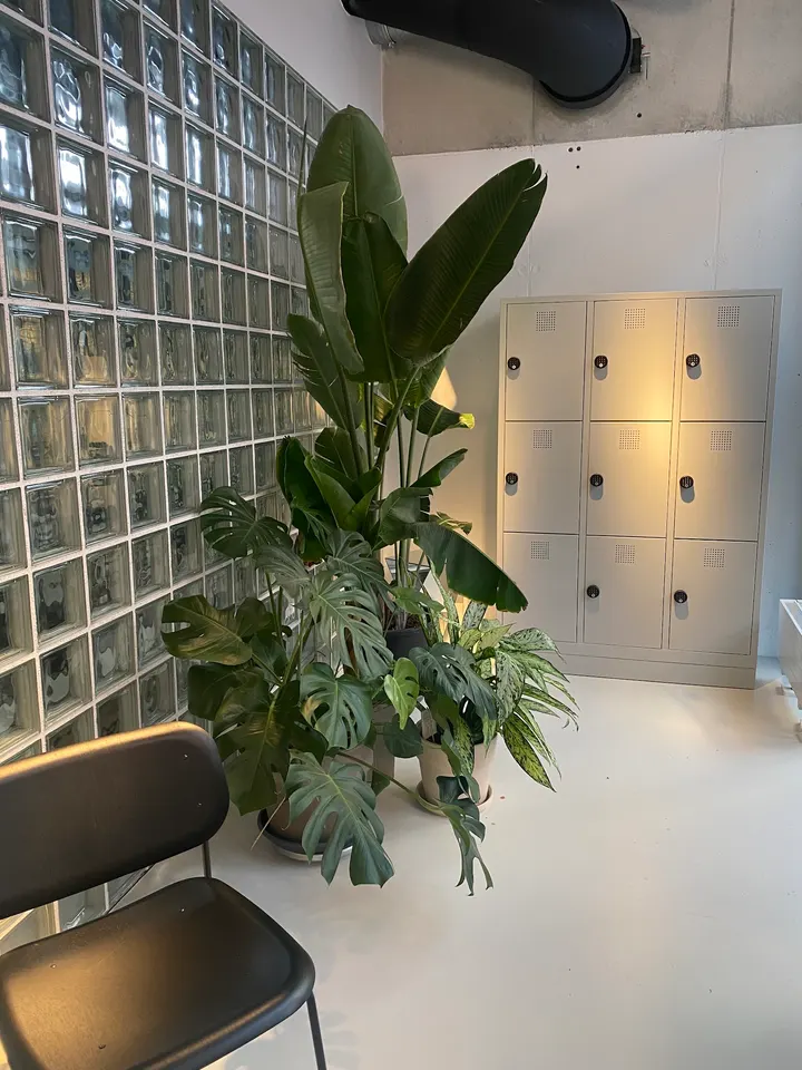 PILATES INFUSED FRANKFURT — pilates-studio in Frankfurt am Main — 4