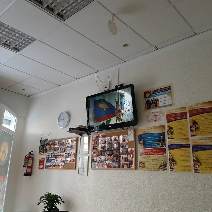 Club De Lucha Sutekh De Torrevieja — BJJ en Urbanización El Chaparral, Torrevieja
