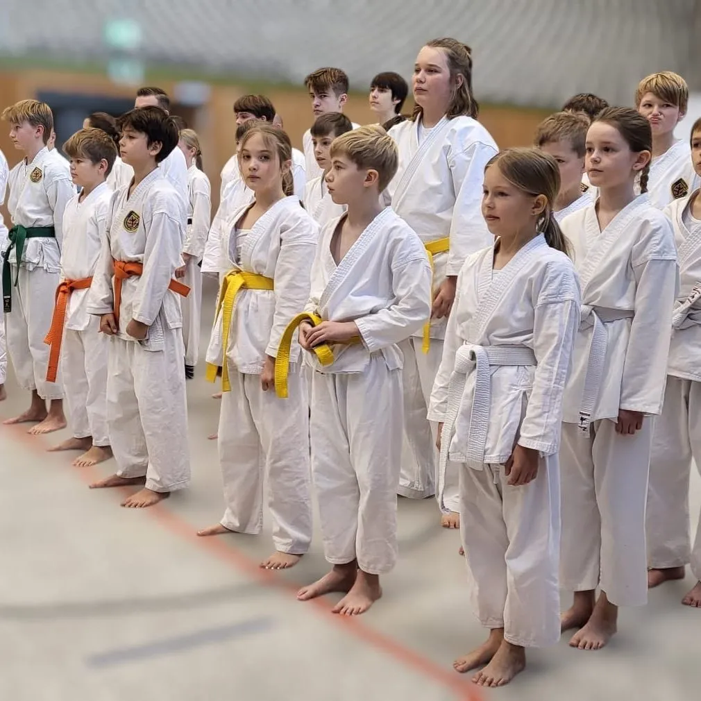 1. Karate Dojo Fallersleben von 1967 e.V. — kampfsport-studio in Fallersleben, Wolfsburg — 2