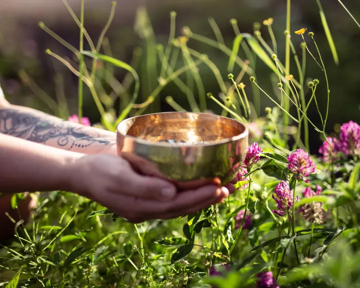 Pinja Sointu — Wellness – Virasoja, Imatra