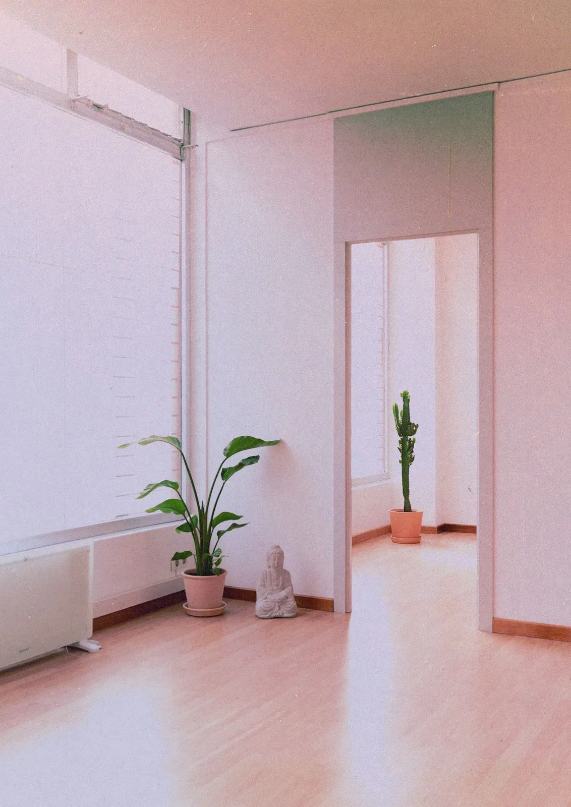 Corazón Consciente — meditación-studio en A Coruña — 4