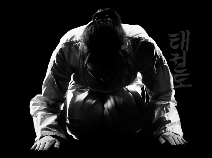 Taekwondo Tiger Hochspeyer e.V. — kampfsport-studio in Hochspeyer — 3