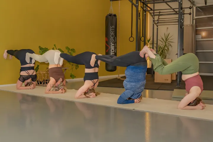 Dance & Yoga Zwolle — Yoga in Zwolle