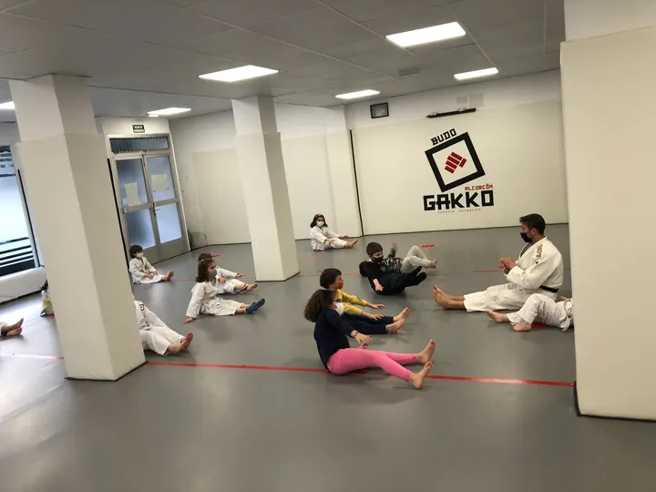Budo Gakko — Artes marciales en Norte, Alcorcón