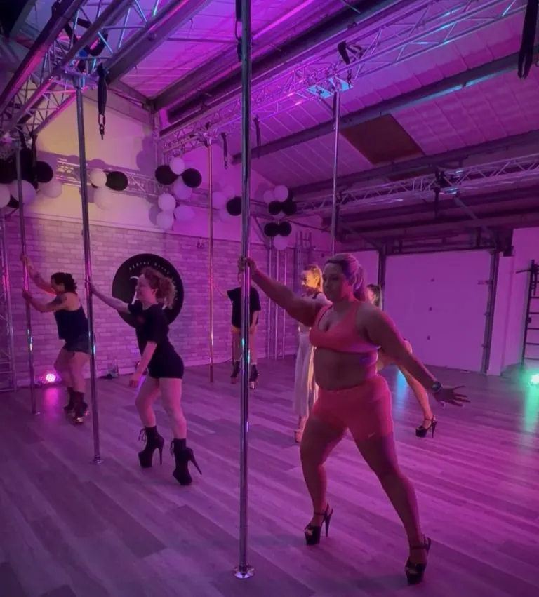 Aerial Bliss Studio — pole fitness-studio in Deeside — 3