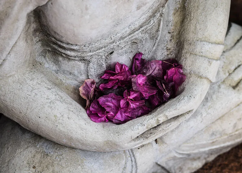 SAGE Institut — meditation-studio in Mitte, Berlin — 2