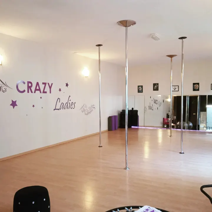 Crazy Ladies Pole dance Brest — salle de fitness-studio à Brest — 3