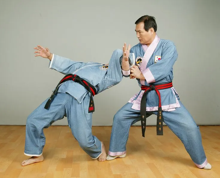 Borås Hapkido klubb JungMooKwan kampkonst självförsvar — kampsport-studio i Gånghester — bild 2