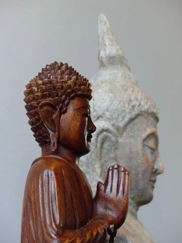 Haags Yogacentrum — yoga-studio in Haagse Hout, Den Haag — 2