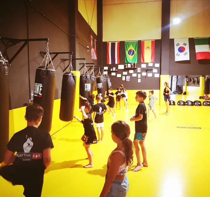 Muaythai Box Training — artes marciales-studio en Mairena del Aljarafe, Sevilla — 2