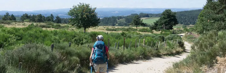 Wandel naar Jezelf — meditatie-studio in Apeldoorn — 3