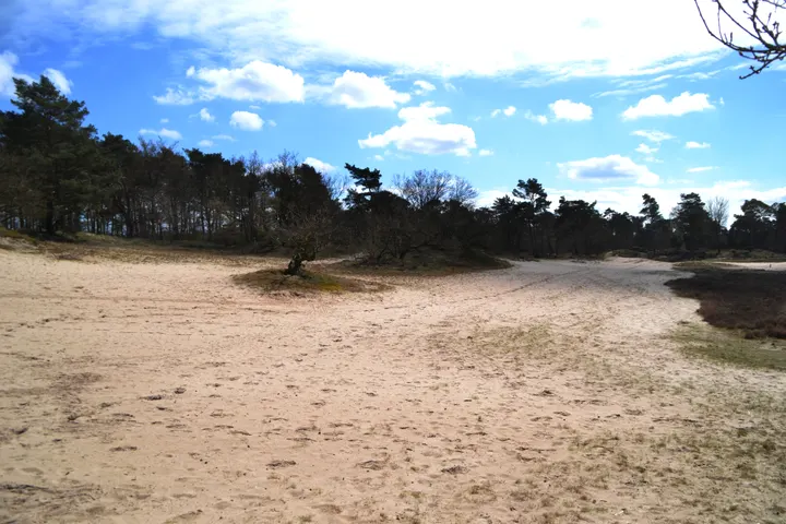 Sneller-Fit Buiten sporten — personal training-studio in Kattenbroek, Amersfoort — 2
