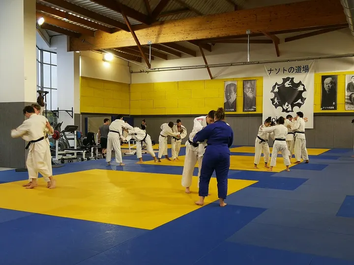 Dojo Nantais - Petit Port — arts martiaux-studio à Jonelière - Université, Nantes — 3