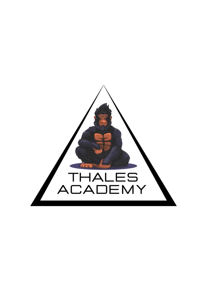 Thales Academy — mma-studio à Marseille — 5