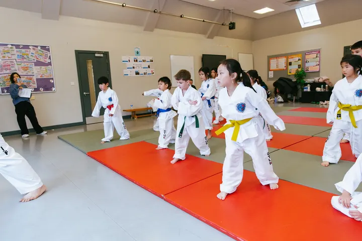 South Thames Taekwondo Academy — martial arts-studio in Dartford — 4