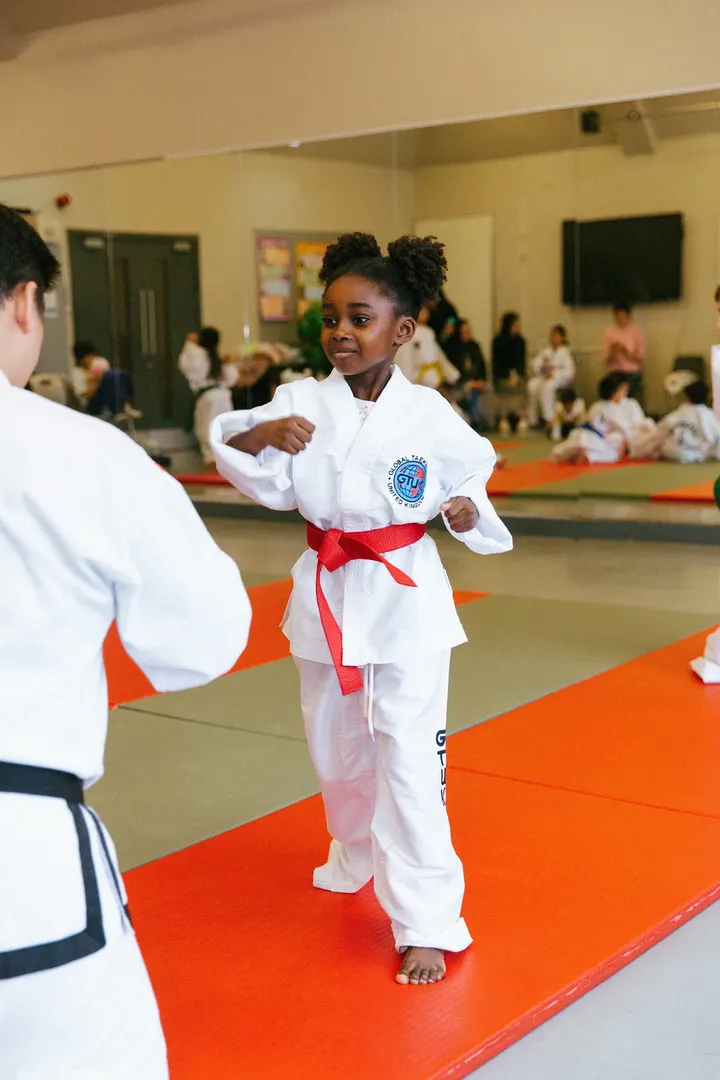 South Thames Taekwondo Academy — martial arts-studio in Dartford — 5