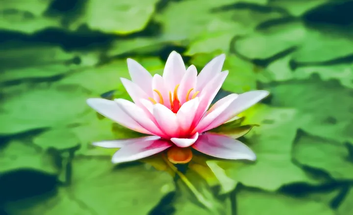 Meditation & Coaching GbR — Meditation in Rohrbach, Heidelberg