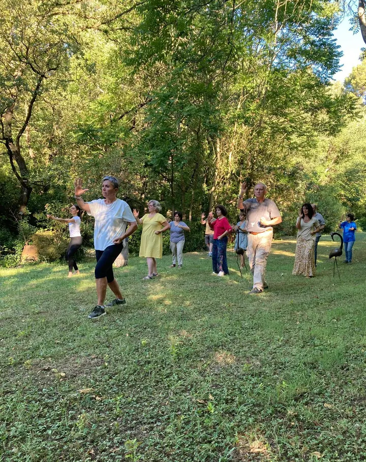 Alignement Tai Chi Chuan - Qi Gong — Arts martiaux à Cuques, Aix-en-Provence