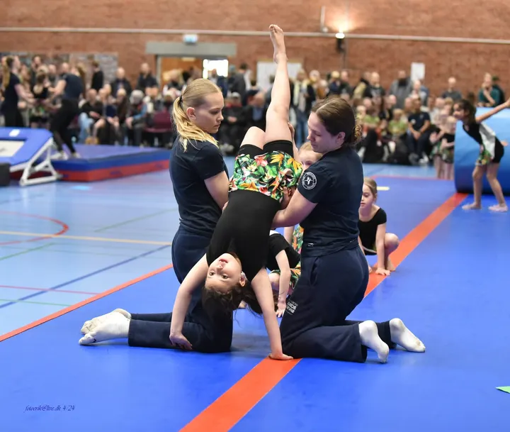 Hedehusene Gymnastik Forening — træningsstudio i Nærheden, Hedehusene — 3
