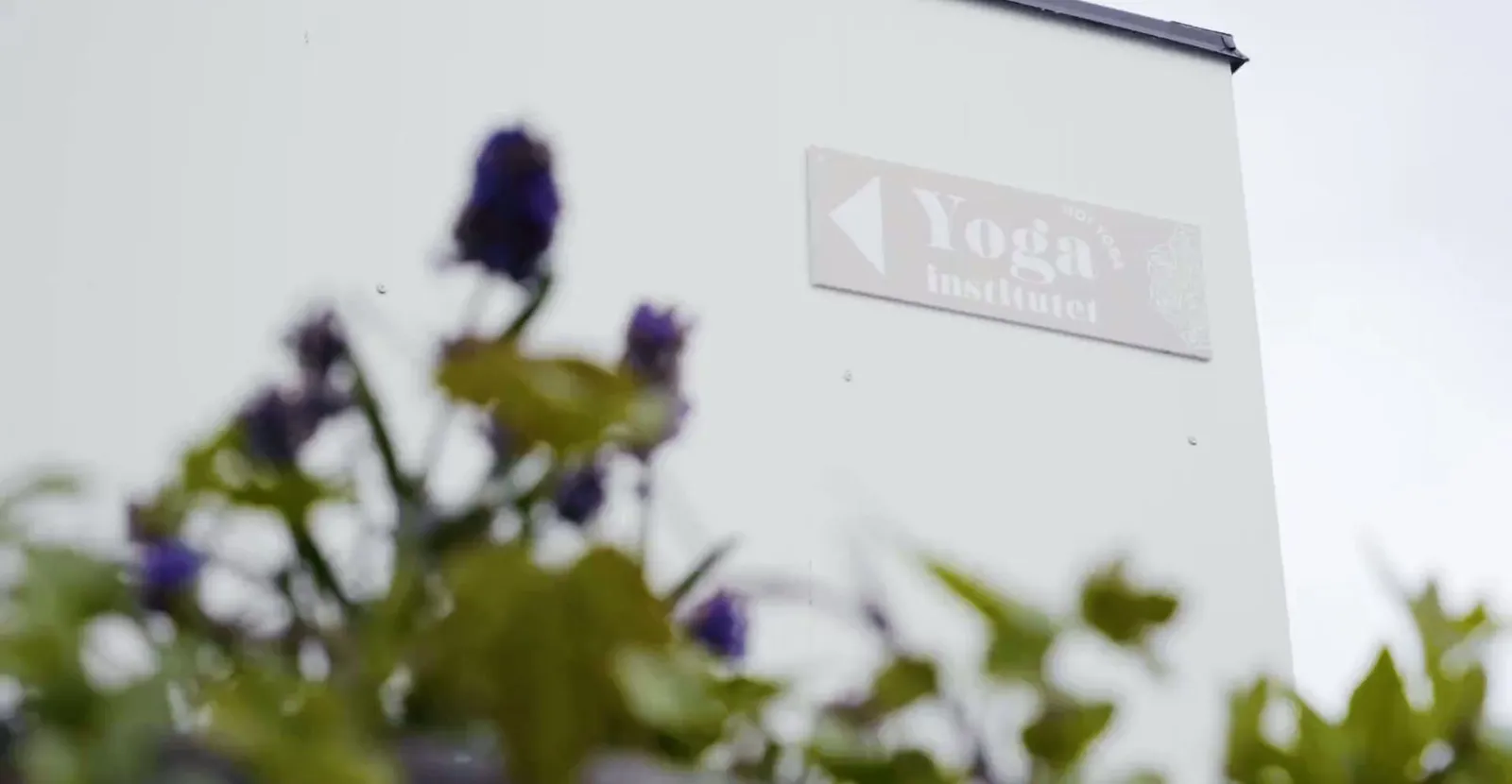 Yogainstitutet Halmstad — yoga-studio i Slottsjorden, Halmstad — bild 2