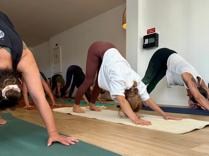 Ashtanga Cascais Yoga Shala — yoga-studio em Cascais — 3
