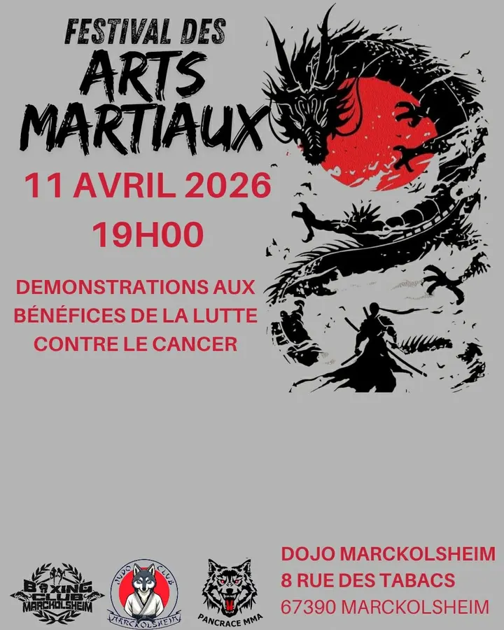 Ecole de Kung Fu de Maître Pham Chuong — Arts martiaux à Steinlache, Illzach