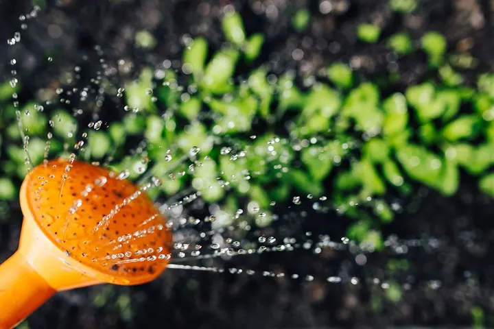´t Lauwtje yoga en mindfulness — yoga-studio in Alphen aan den Rijn — 2