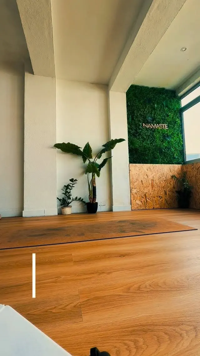 holyoga — yoga-studio em Coimbra — 3