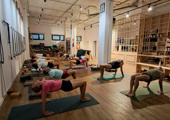 Centre de Ioga Iyengar Sabadell Nord — yoga-studio en Sabadell — 5