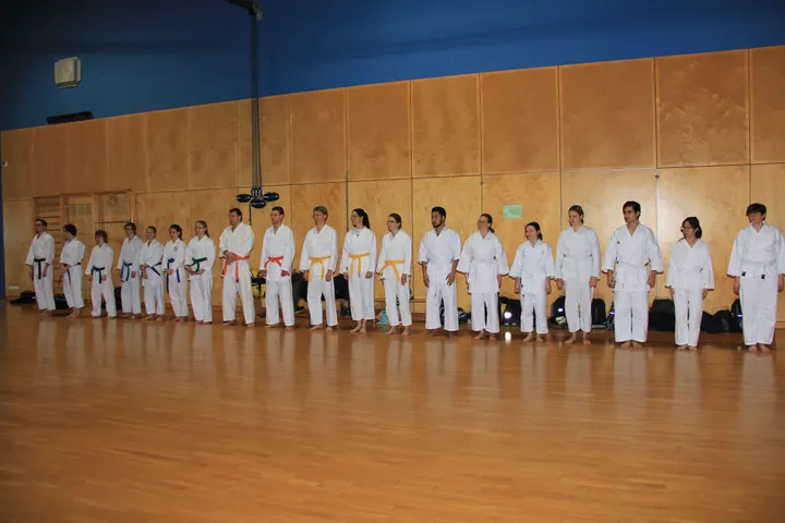 Karate Dojo Fudokan Heidelberg e.V. — kampfsport-studio in Neuenheim, Heidelberg — 2