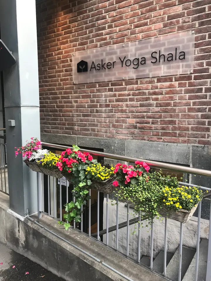 Sahaja Yoga — Yoga i Bondibråten, Asker