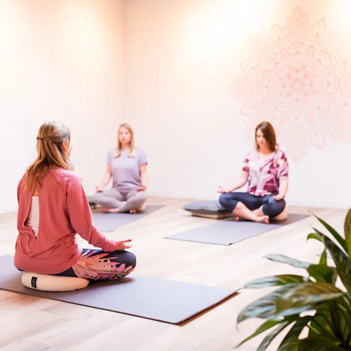 Maliva Yoga — Yoga in Leidschenveen-Ypenburg, Den Haag