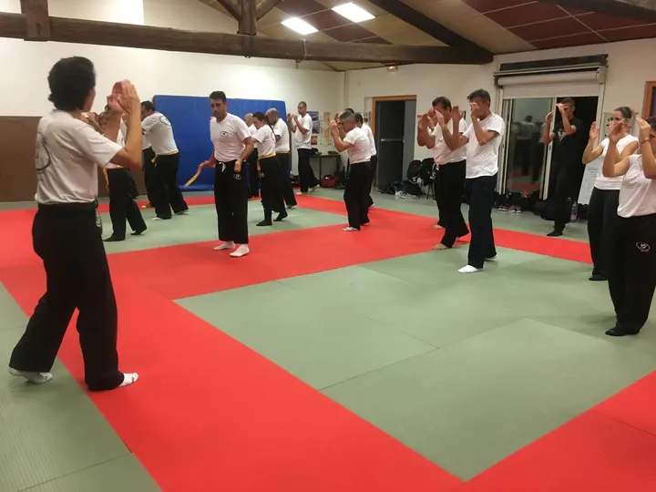 Col Nem Krav Maga — arts martiaux-studio à Milhaud — 2