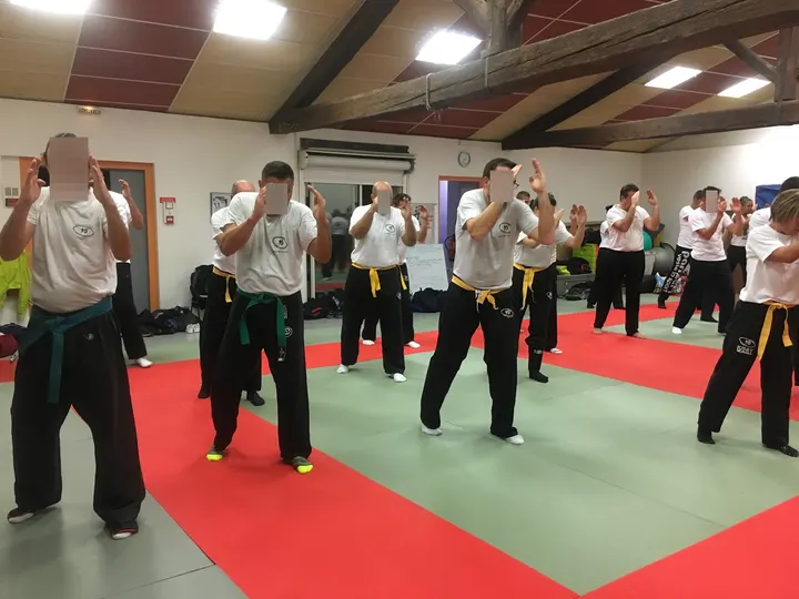 Col Nem Krav Maga — arts martiaux-studio à Milhaud — 3