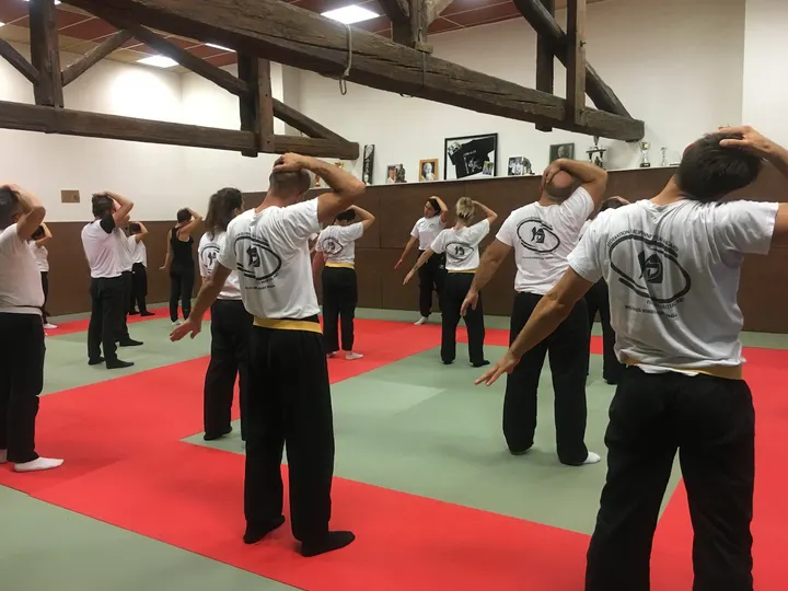 Col Nem Krav Maga — arts martiaux-studio à Milhaud — 4