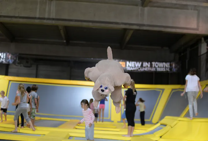TRIXS Leiderdorp/Leiden trampolinepark — Sportschool in Leiderdorp