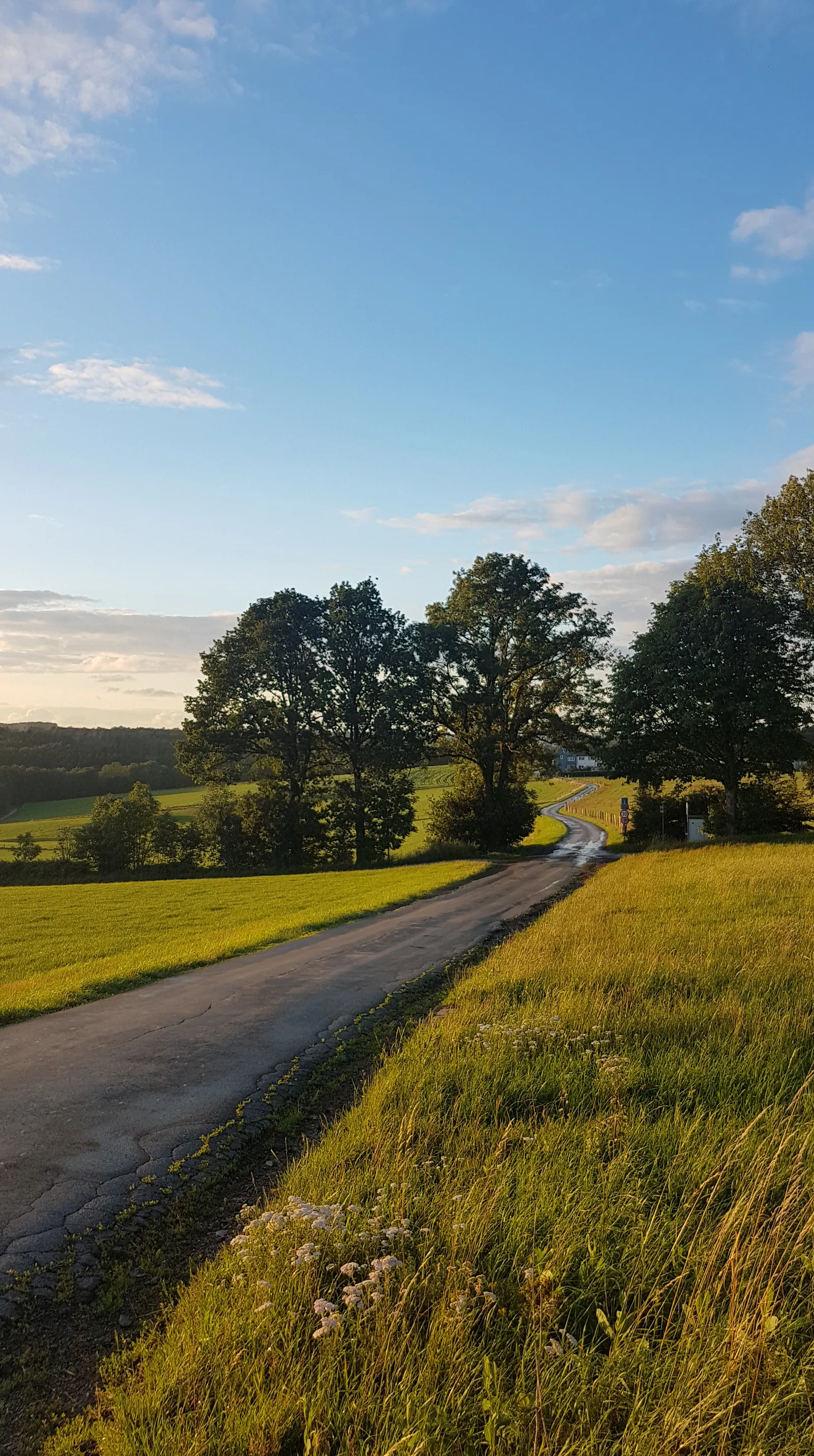 Kim Schröer Coaching @feel FREIRAUM Südstadt — meditation-studio i Köln — 2