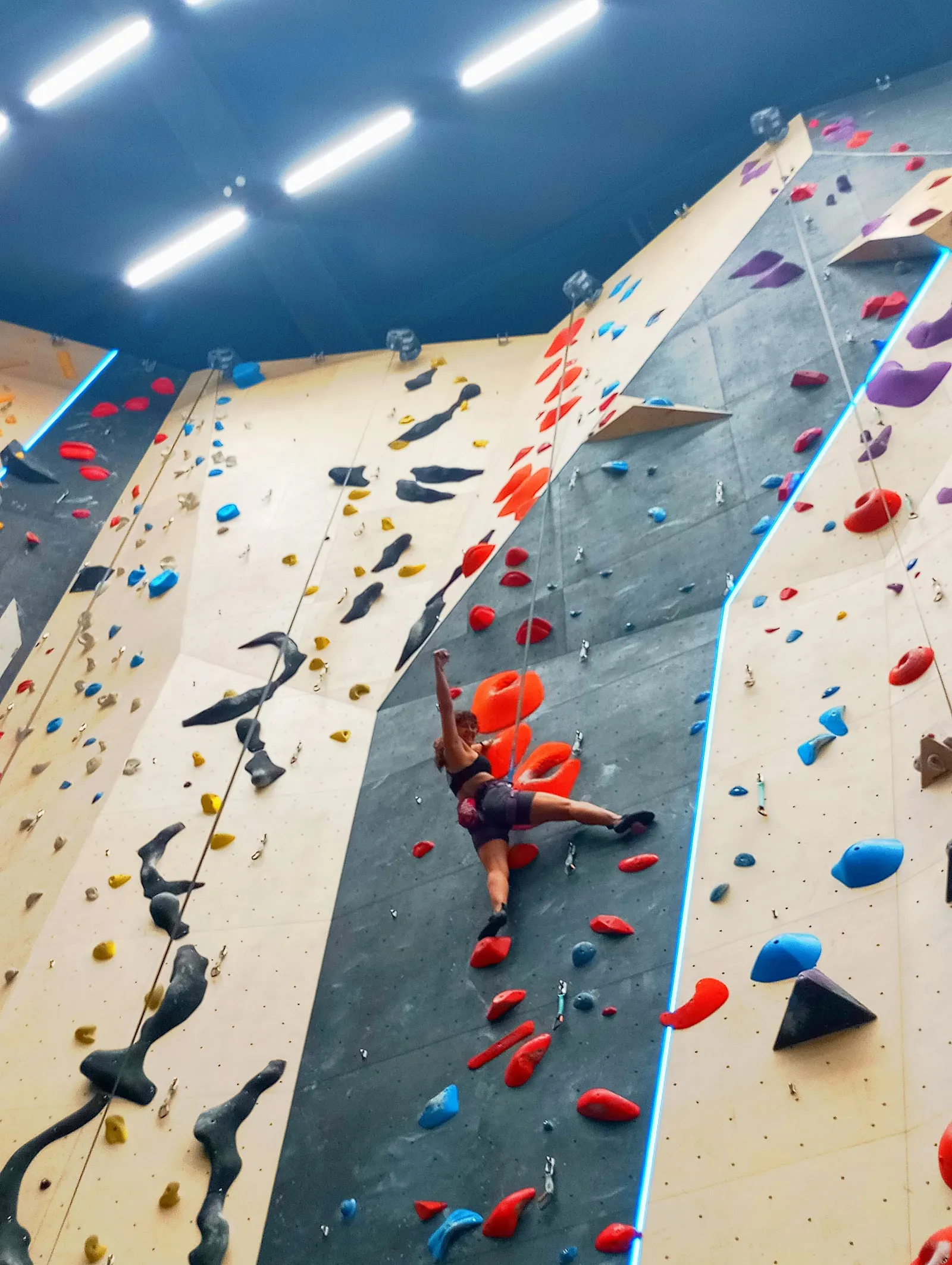 SKALA ROCO | Rocódromo en Burgos — escalada-studio en Burgos — 2
