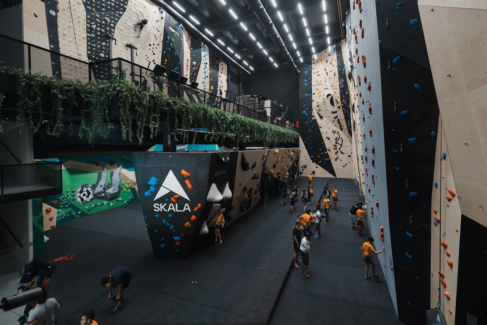 SKALA ROCO | Rocódromo en Burgos — escalada-studio en Burgos — 3