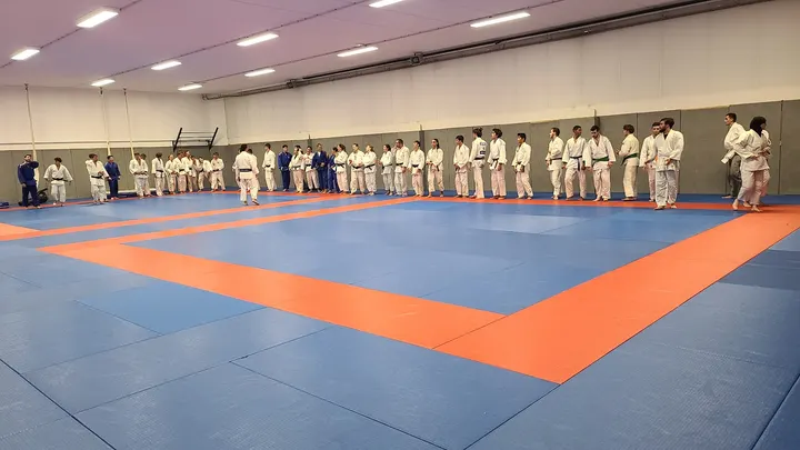 Jita Kyoei Judo 34 Adulte Complexe sportif Veyrassi — arts martiaux-studio à Plan des 4 Seigneurs, Montpellier — 2